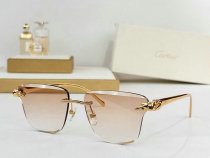 Cartier Sunglasses AAA (1626) Cartier Sunglasses AAA (1626)