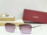 Cartier Sunglasses AAA (841)