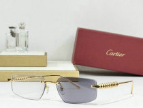 Cartier Sunglasses AAA (865) Cartier Sunglasses AAA (865)