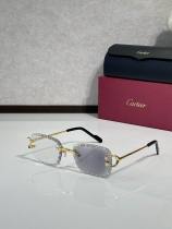 Cartier Sunglasses AAA (2025) Cartier Sunglasses AAA (2025)