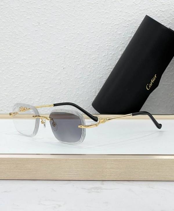 Cartier Sunglasses AAA (1988)