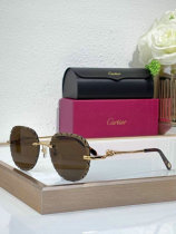 Cartier Sunglasses AAA (1223) Cartier Sunglasses AAA (1223)
