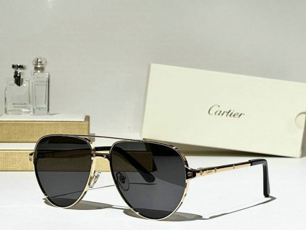 Cartier Sunglasses AAA (674)