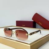 Cartier Sunglasses AAA (2072)