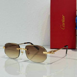 Cartier Sunglasses AAA (1727)