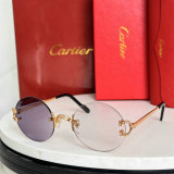 Cartier Sunglasses AAA (1302)