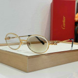 Cartier Sunglasses AAA (98)