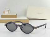 Cartier Sunglasses AAA (15)