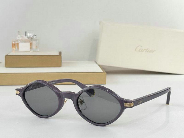 Cartier Sunglasses AAA (15)