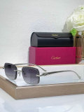 Cartier Sunglasses AAA (1195)