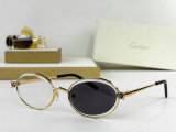 Cartier Sunglasses AAA (1737)