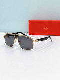 Cartier Sunglasses AAA (589)