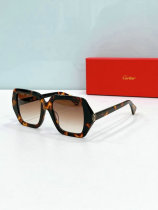 Cartier Sunglasses AAA (1558) Cartier Sunglasses AAA (1558)