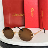 Cartier Sunglasses AAA (1296)