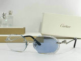 Cartier Sunglasses AAA (265)
