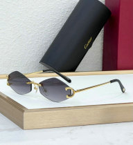 Cartier Sunglasses AAA (1426) Cartier Sunglasses AAA (1426)