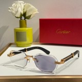 Cartier Sunglasses AAA (2623)