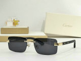 Cartier Sunglasses AAA (326)