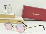 Cartier Sunglasses AAA (1092)