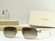Cartier Sunglasses AAA (685)