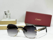 Cartier Sunglasses AAA (864) Cartier Sunglasses AAA (864)
