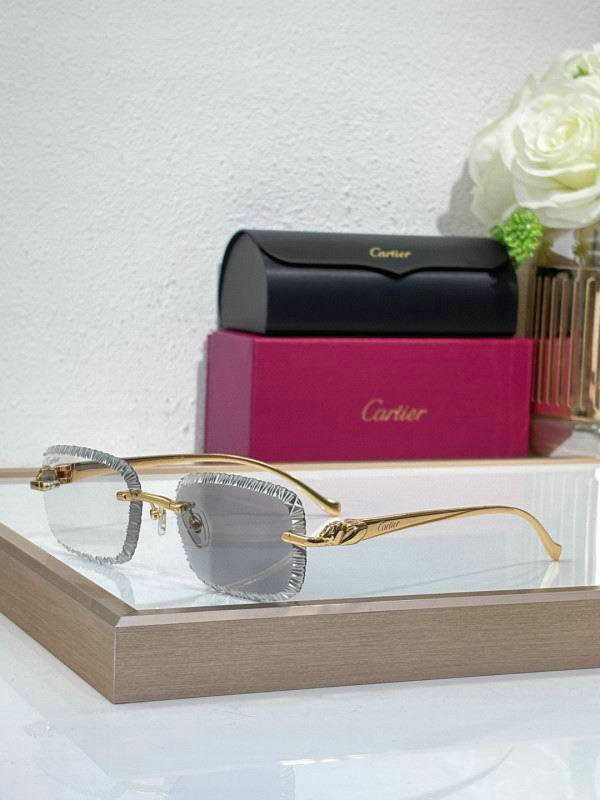 Cartier Sunglasses AAA (1191)