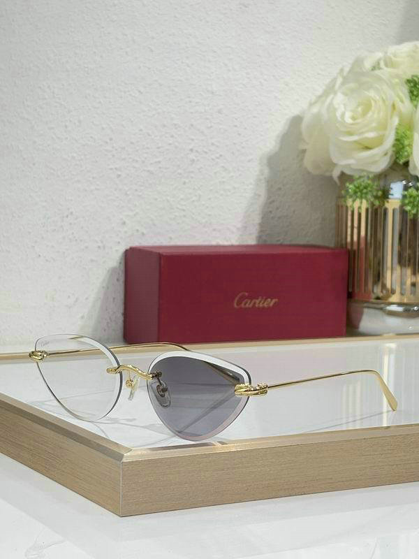 Cartier Sunglasses AAA (566)