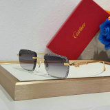 Cartier Sunglasses AAA (62)