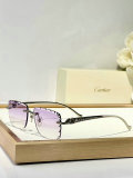 Cartier Sunglasses AAA (1491)