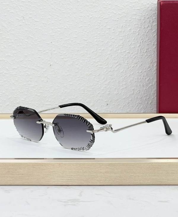 Cartier Sunglasses AAA (2000)