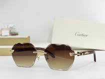 Cartier Sunglasses AAA (2193) Cartier Sunglasses AAA (2193)