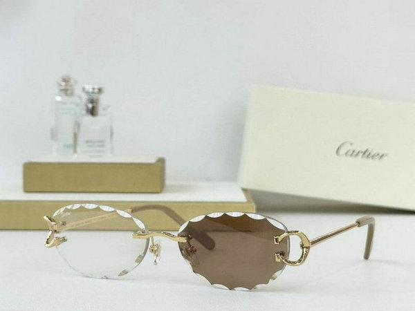 Cartier Sunglasses AAA (704)