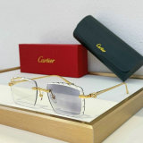 Cartier Sunglasses AAA (736)