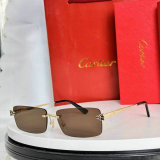 Cartier Sunglasses AAA (29)