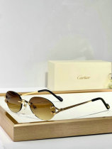 Cartier Sunglasses AAA (1042) Cartier Sunglasses AAA (1042)
