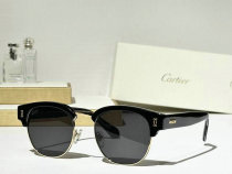Cartier Sunglasses AAA (670) Cartier Sunglasses AAA (670)