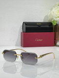 Cartier Sunglasses AAA (612)