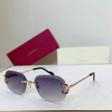 Cartier Sunglasses AAA (162)