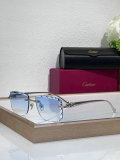 Cartier Sunglasses AAA (1237)