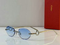 Cartier Sunglasses AAA (3)