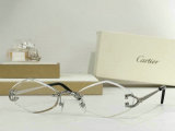 Cartier Sunglasses AAA (238)
