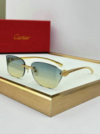Cartier Sunglasses AAA (186)