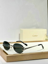 Cartier Sunglasses AAA (1045) Cartier Sunglasses AAA (1045)