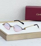 Cartier Sunglasses AAA (1920)