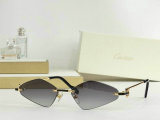Cartier Sunglasses AAA (444)