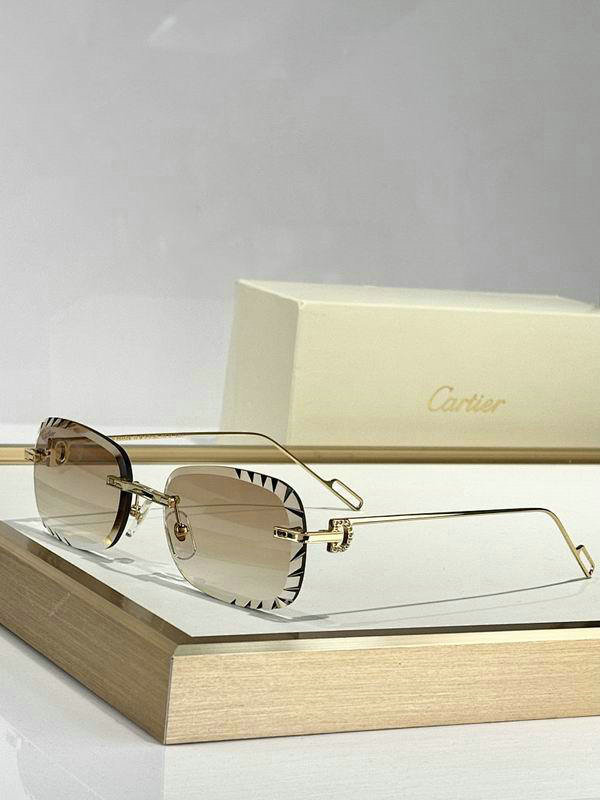 Cartier Sunglasses AAA (68)