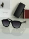 Cartier Sunglasses AAA (377)
