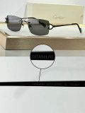Cartier Sunglasses AAA (232)