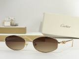 Cartier Sunglasses AAA (2279)