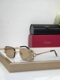 Cartier Sunglasses AAA (771)